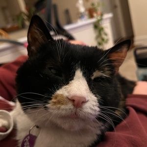 Meet your Posher, Daniel